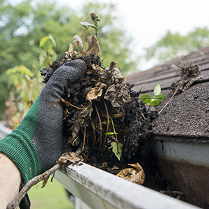 THE IMPORTANCE OF GUTTER CLEANING